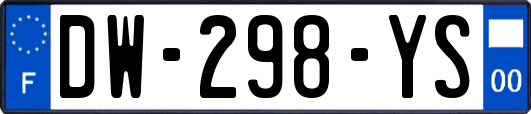 DW-298-YS
