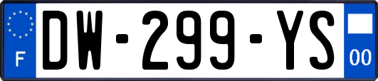 DW-299-YS