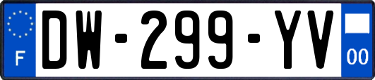 DW-299-YV