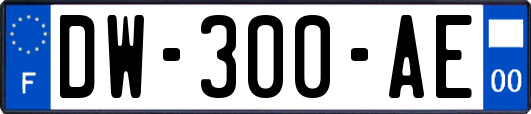 DW-300-AE