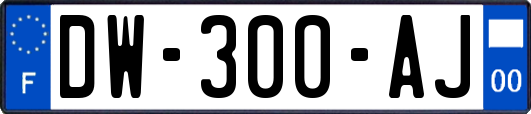 DW-300-AJ