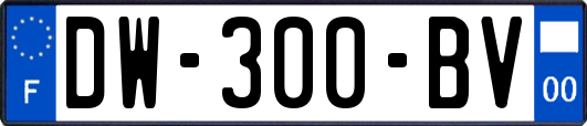 DW-300-BV