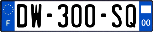 DW-300-SQ