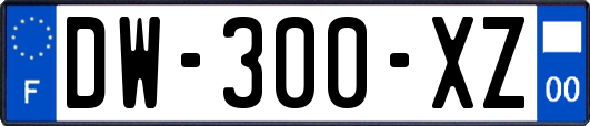 DW-300-XZ