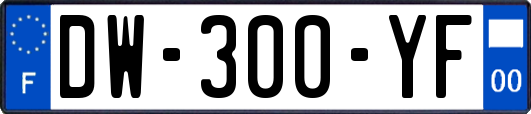 DW-300-YF