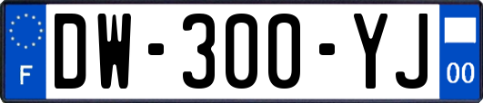 DW-300-YJ