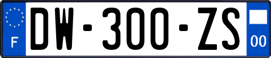 DW-300-ZS