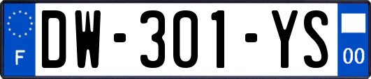 DW-301-YS