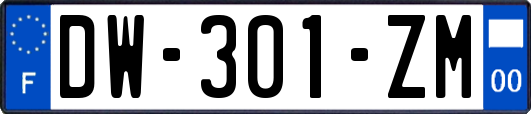 DW-301-ZM