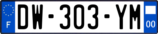 DW-303-YM