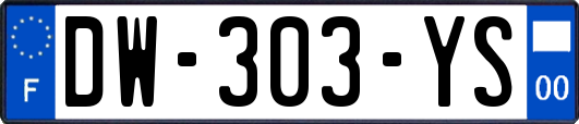 DW-303-YS