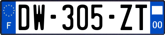 DW-305-ZT