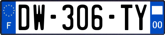 DW-306-TY