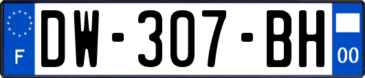 DW-307-BH