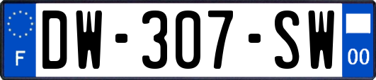 DW-307-SW