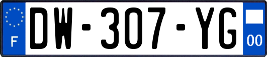 DW-307-YG