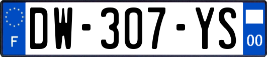 DW-307-YS