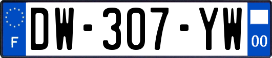 DW-307-YW