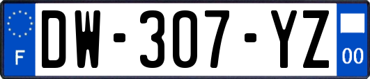 DW-307-YZ