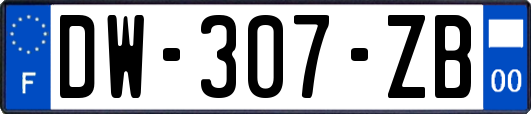 DW-307-ZB