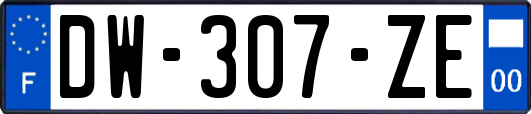 DW-307-ZE