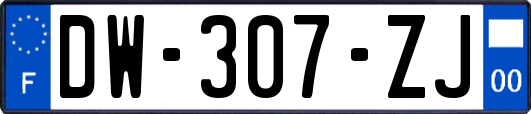 DW-307-ZJ