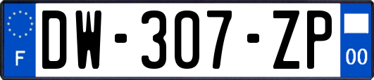 DW-307-ZP