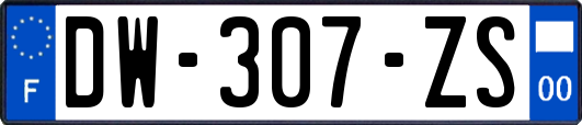 DW-307-ZS