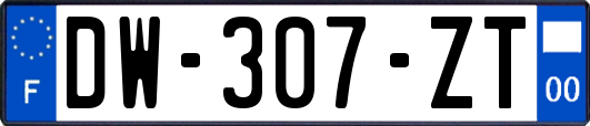 DW-307-ZT