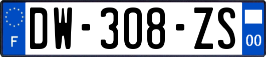 DW-308-ZS