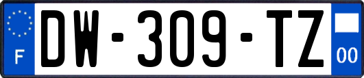 DW-309-TZ