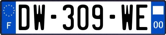 DW-309-WE