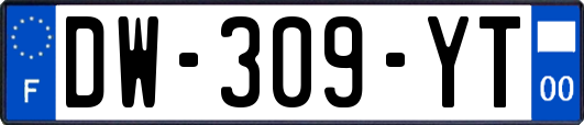 DW-309-YT