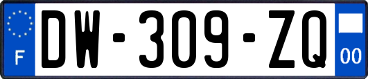 DW-309-ZQ