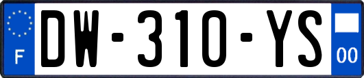 DW-310-YS