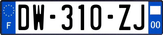 DW-310-ZJ