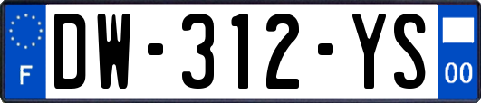 DW-312-YS