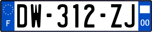 DW-312-ZJ