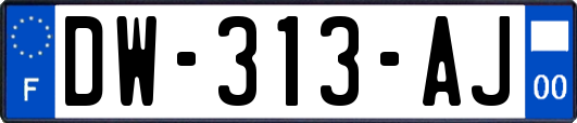 DW-313-AJ