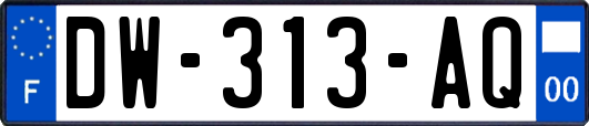 DW-313-AQ