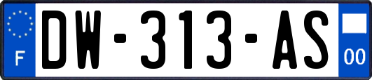 DW-313-AS