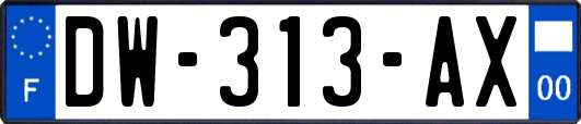 DW-313-AX