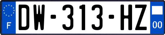DW-313-HZ