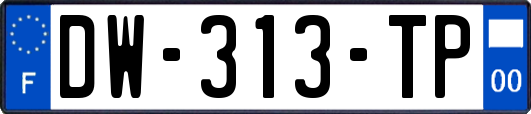 DW-313-TP