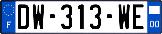 DW-313-WE