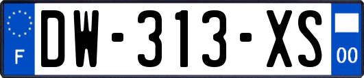 DW-313-XS