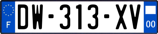 DW-313-XV