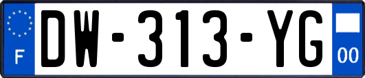 DW-313-YG