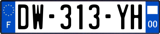 DW-313-YH