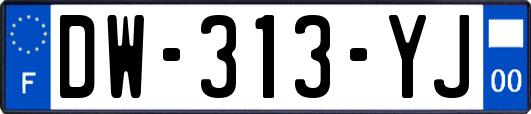 DW-313-YJ